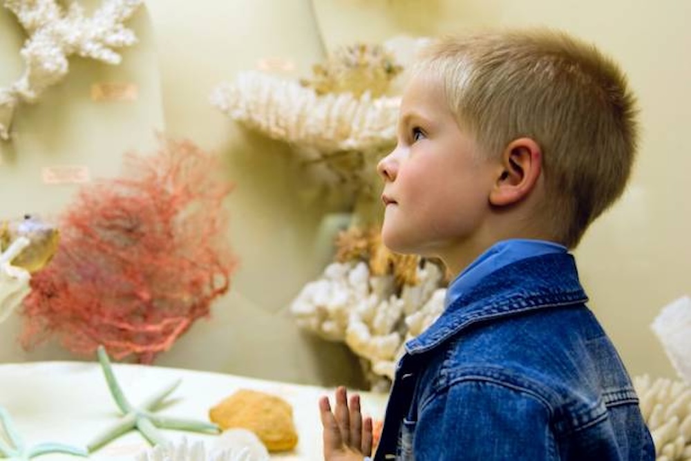 kid at an ocean center museum